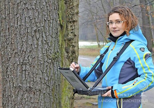 Stefanie Sonntag überprüft einen mehr als hundertjährigen Baum an der Bleyerwiese in Branitz. Foto: Elsner