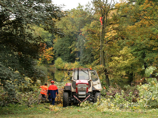 Koordination von Facharbeiten beim 1. Polnisch-deutsches Parkseminar im Schlosspark Morawa/ Muhrau Polen im Oktober 2008 (Bild: 1/9)